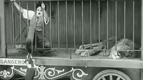 Charlie Chaplin - The video - funny