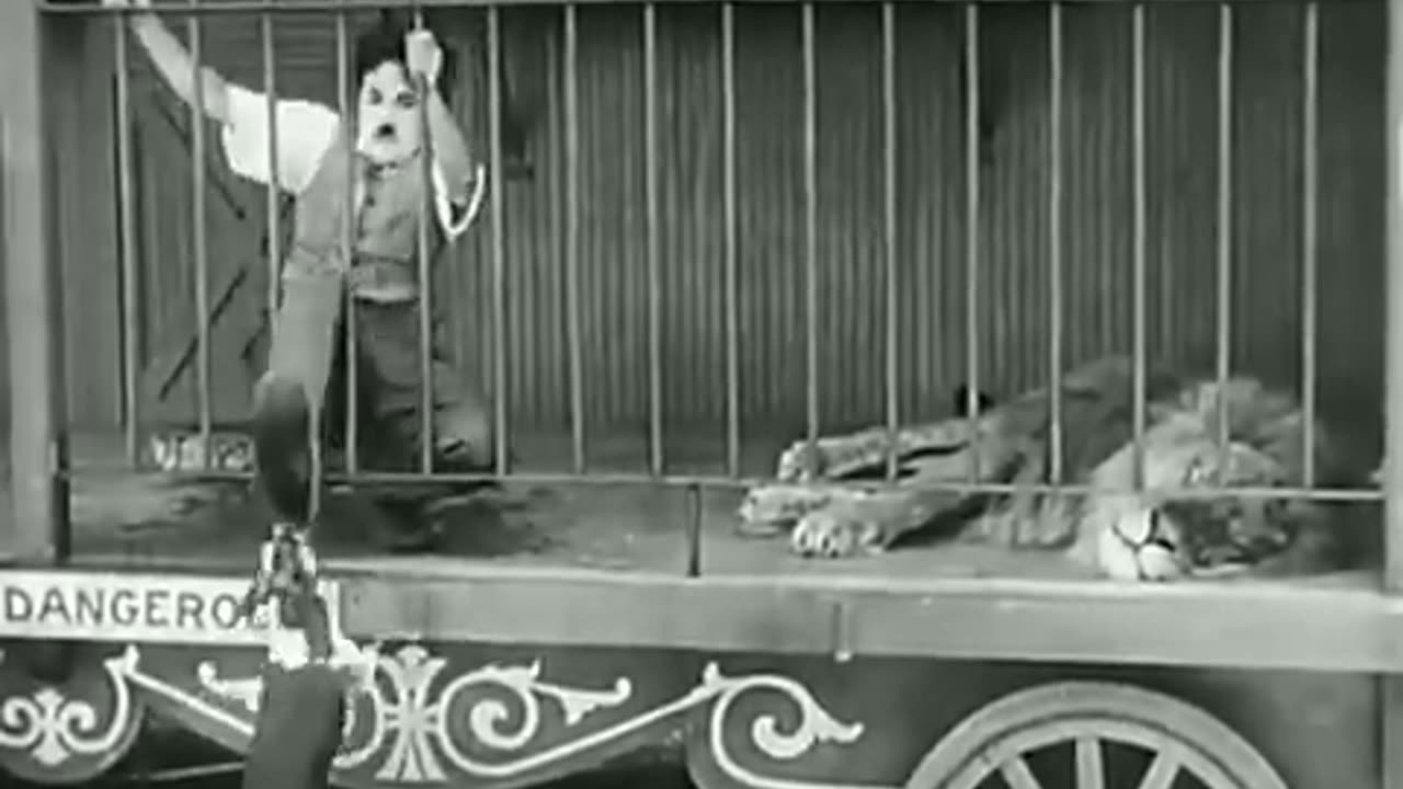 Charlie Chaplin - The video - funny