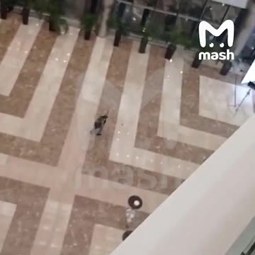 Terroranschlag auf die Crocus-Musikhalle in Moskau Teil 2