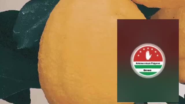 Стрим абхазского блогера Георгия Малания - 11.01.22