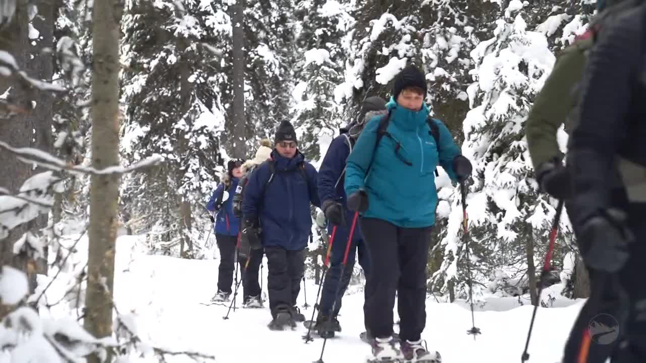 Canadian Rockies Snow Adventure Video | Backroads