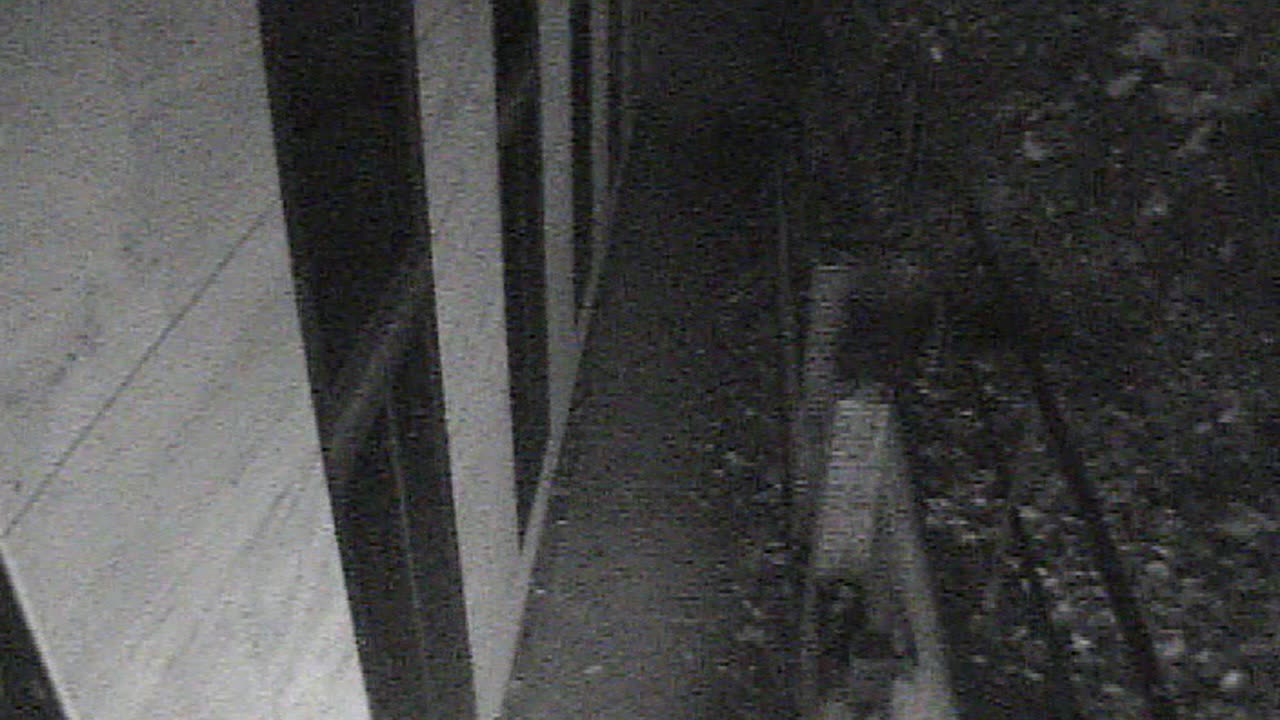 1457HSOB01GroundSoutheast_2021-01-06_07h04min00s257ms.mp4