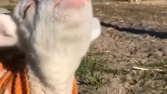 That Face Though!