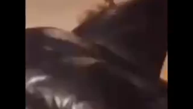 Ghosts caught on camera