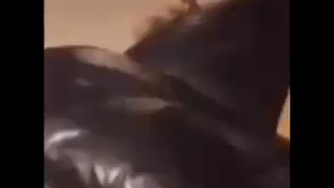 Ghosts caught on camera