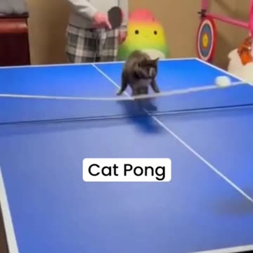 When the referee gets involved in the game