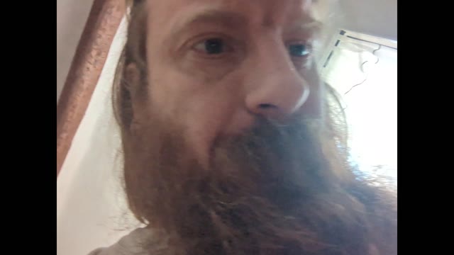 2022-11-19 (1) - test - Twitch meutemediatique