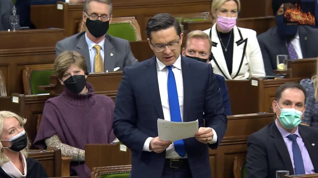 Pierre Poilievre, Canadians are uniting for freedom