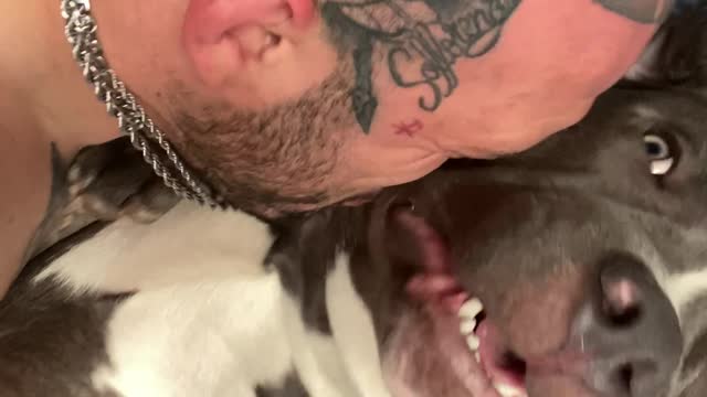 Dog Makes Funny Noises While Getting Kisses From Dad