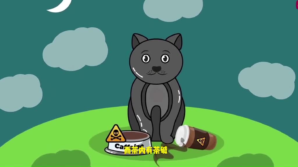 What foods can cats not eat