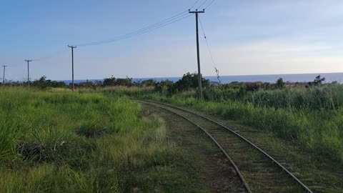 St kitts eco park