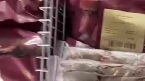 Mice being sold as meat