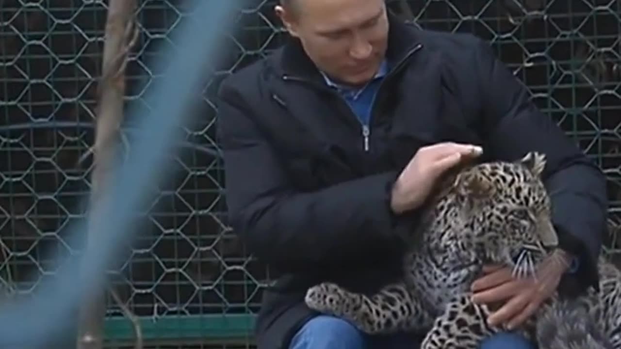 Vladimir Putin with a Leopard