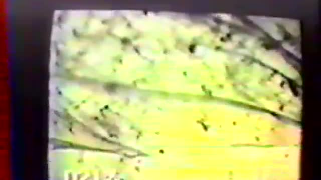 RARE FOOTAGE of ROYAL RAMOND RIFE MICROSCOPE and the Shattering of Cancer Cells with Frequencies