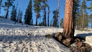 First Trail Junction & Ascension – Upper Three Creek Lake Sno-Park – Central Oregon – 4K