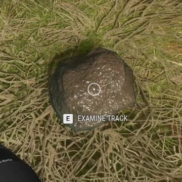 Just a Big ole' pile of... Hunter Call of the Wild