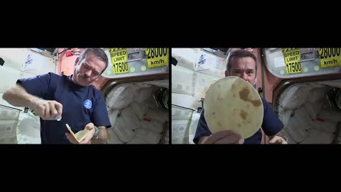 Apollo food in space