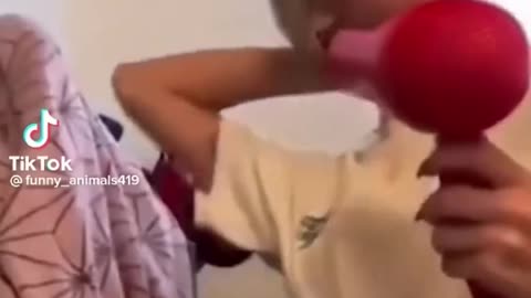 Funniest_Animal_Videos_2022_🤣___Best_Animal_Video