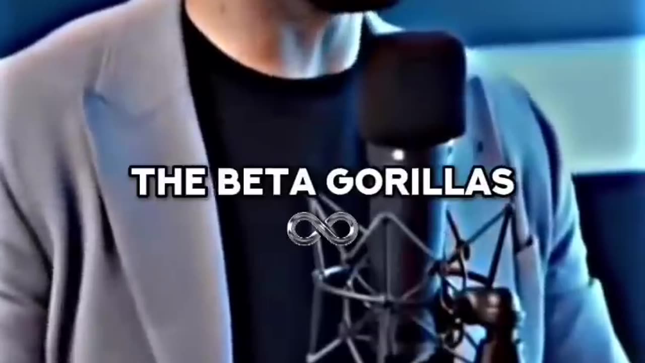 Andrew Tate best lessons to learn from Gorila