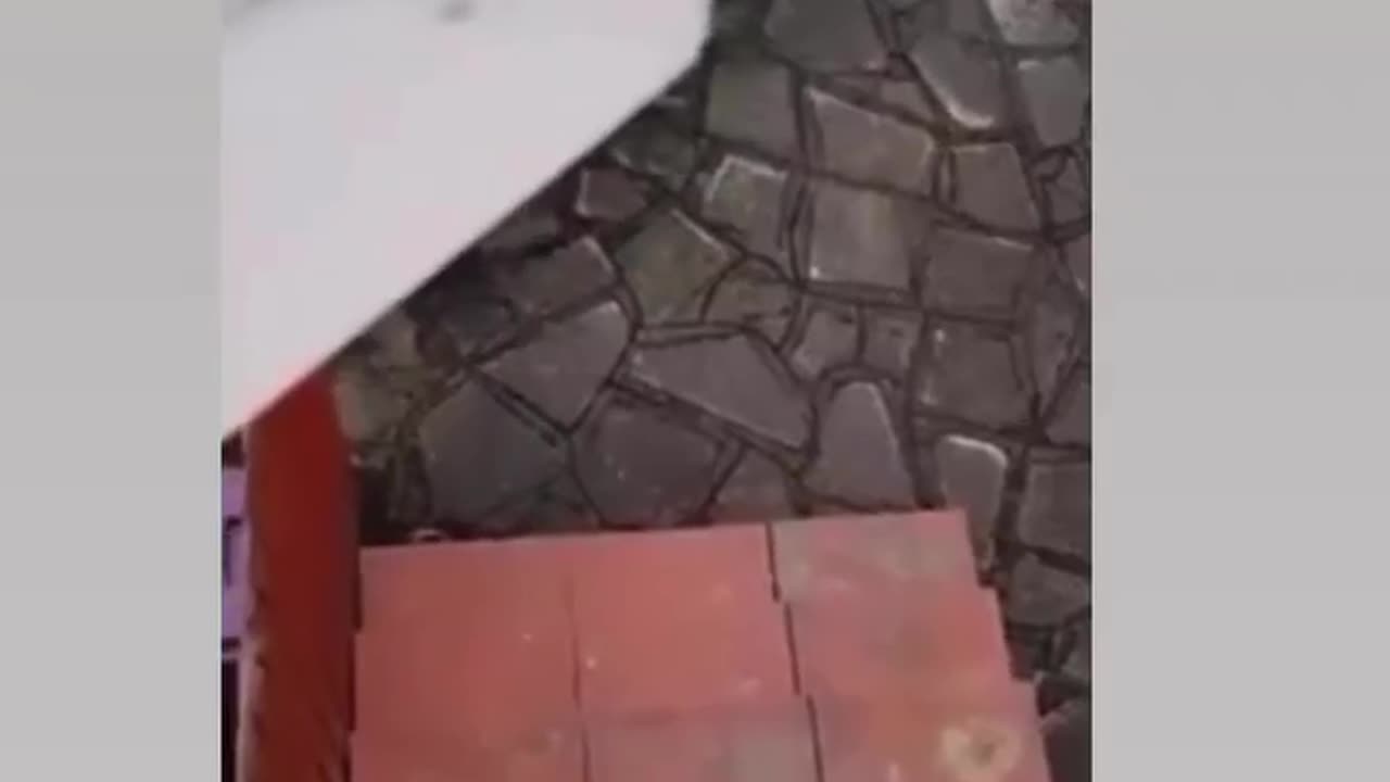 Funny meme video 🤣
