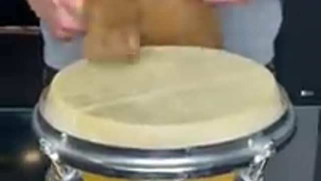 This dog plays the drums