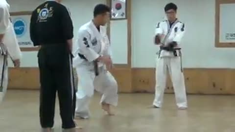 Hapkido