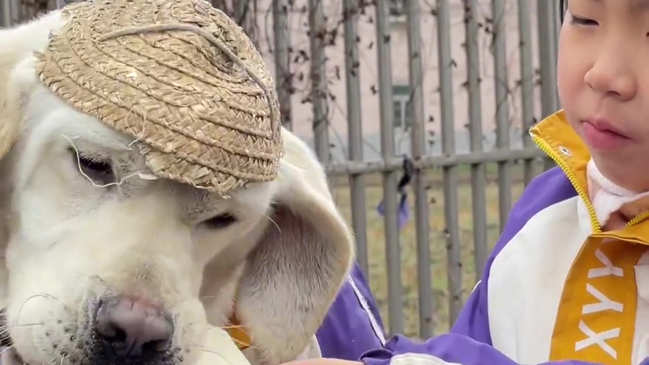 Sweet Bonds: Baby Girl's Heartwarming Bread Sharing Moment with Her Loyal Dog