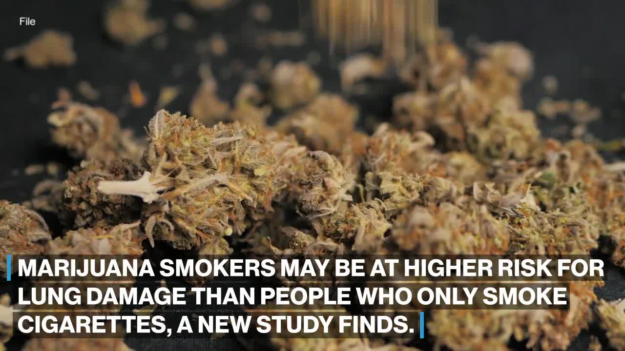 Marijuana smokers could be at more risk for emphysema than cigarette smokers_ Study