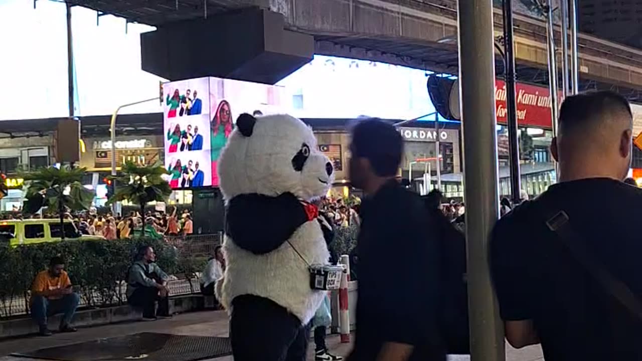 Panda di bukit bintang #kualalumpur