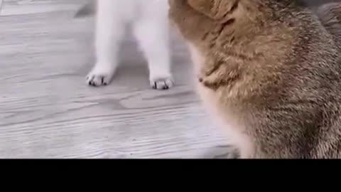 If you don't look, you never know how cute it is