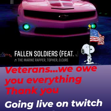 Veterans day gaming stream