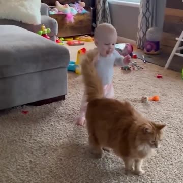 Cute baby playing with cat
