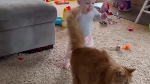 Cute baby playing with cat