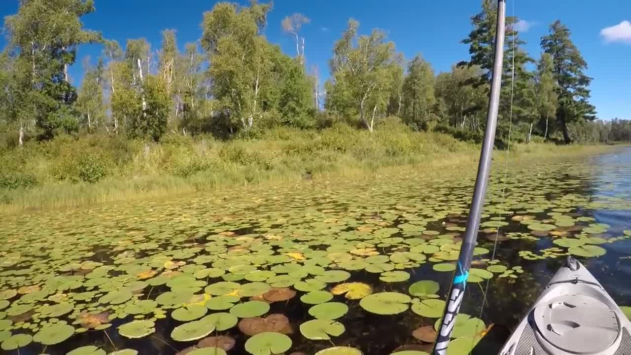 A Relaxing Day Of Frog Bassin'-3