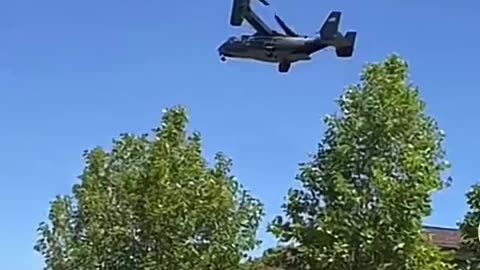 Reported in Larksper, California on Friday