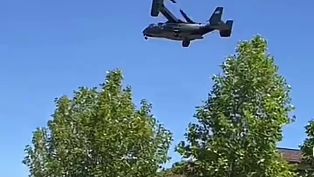 Reported in Larksper, California on Friday