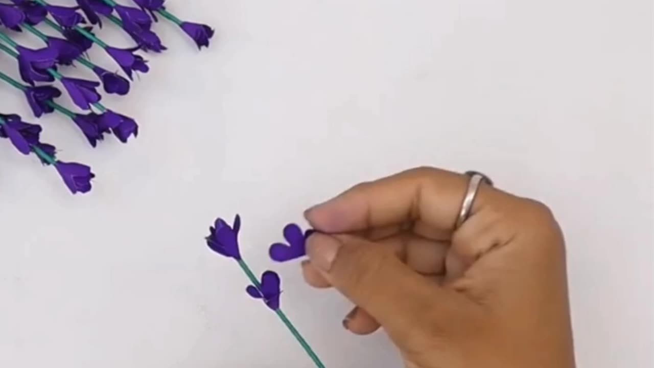 Beautiful Purple Easy Flowers