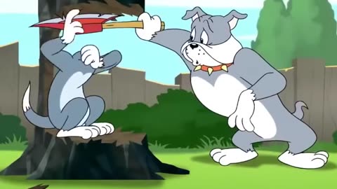 New tom & jerry