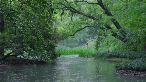 The beautiful little river is raining(2) , sleep, relax, meditate, study, work, ASMR