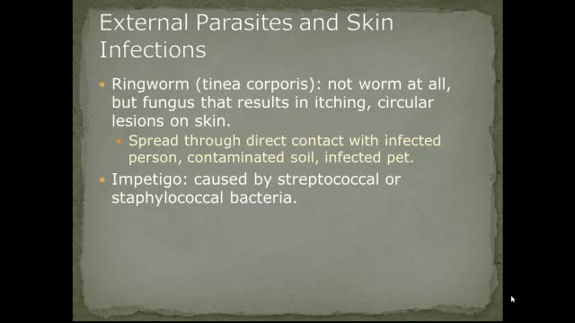 AEMT Ch 28 Infectious Illnesses
