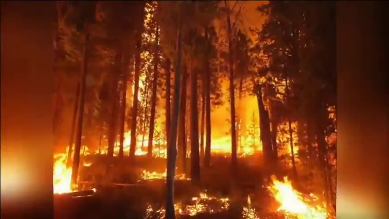 The End Of The World As We Know It