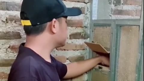 Bird Harvest