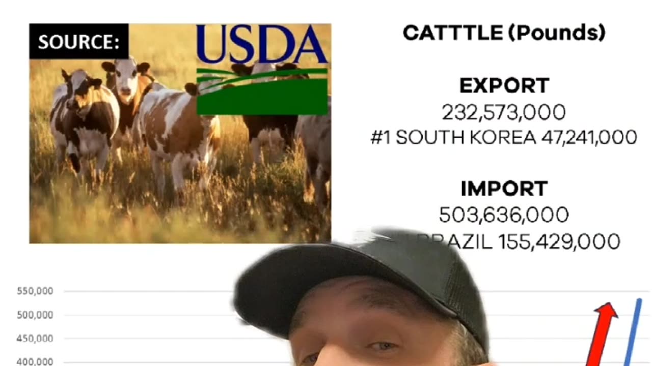 Beef Imports into the US