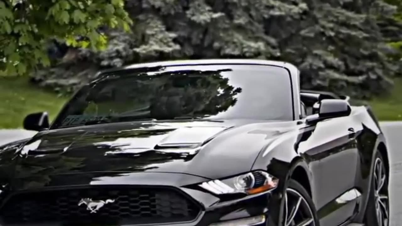 Mustang video song status