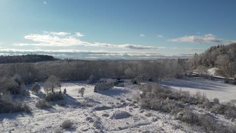 Snow Covered Landscape