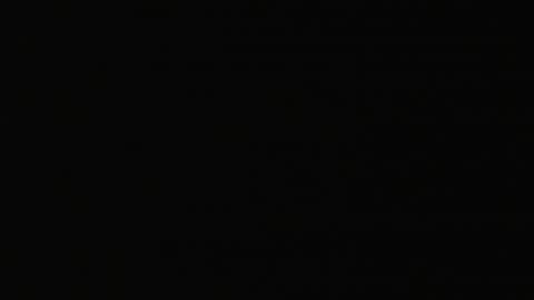 2823DSOB01XraySWDoor_2021-01-05_17h00min03s230ms.mp4