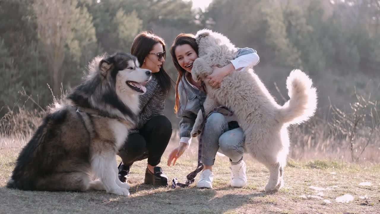 Woman Enjoys Beautiful Day With Dogs