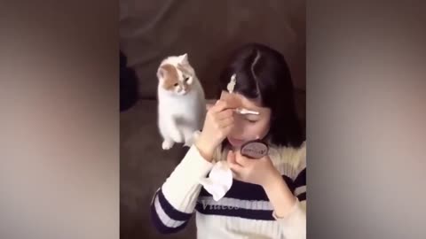 Funny animal videos😂🤣😹😻