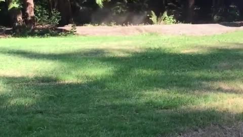 The end 😂😂😂 #funny #fails #shorts #reels #viral #humorexpose