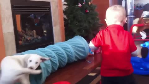 Kid and Dog Go in Circles